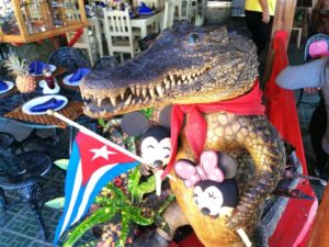Kuba Ausflüge Krokodilfarm